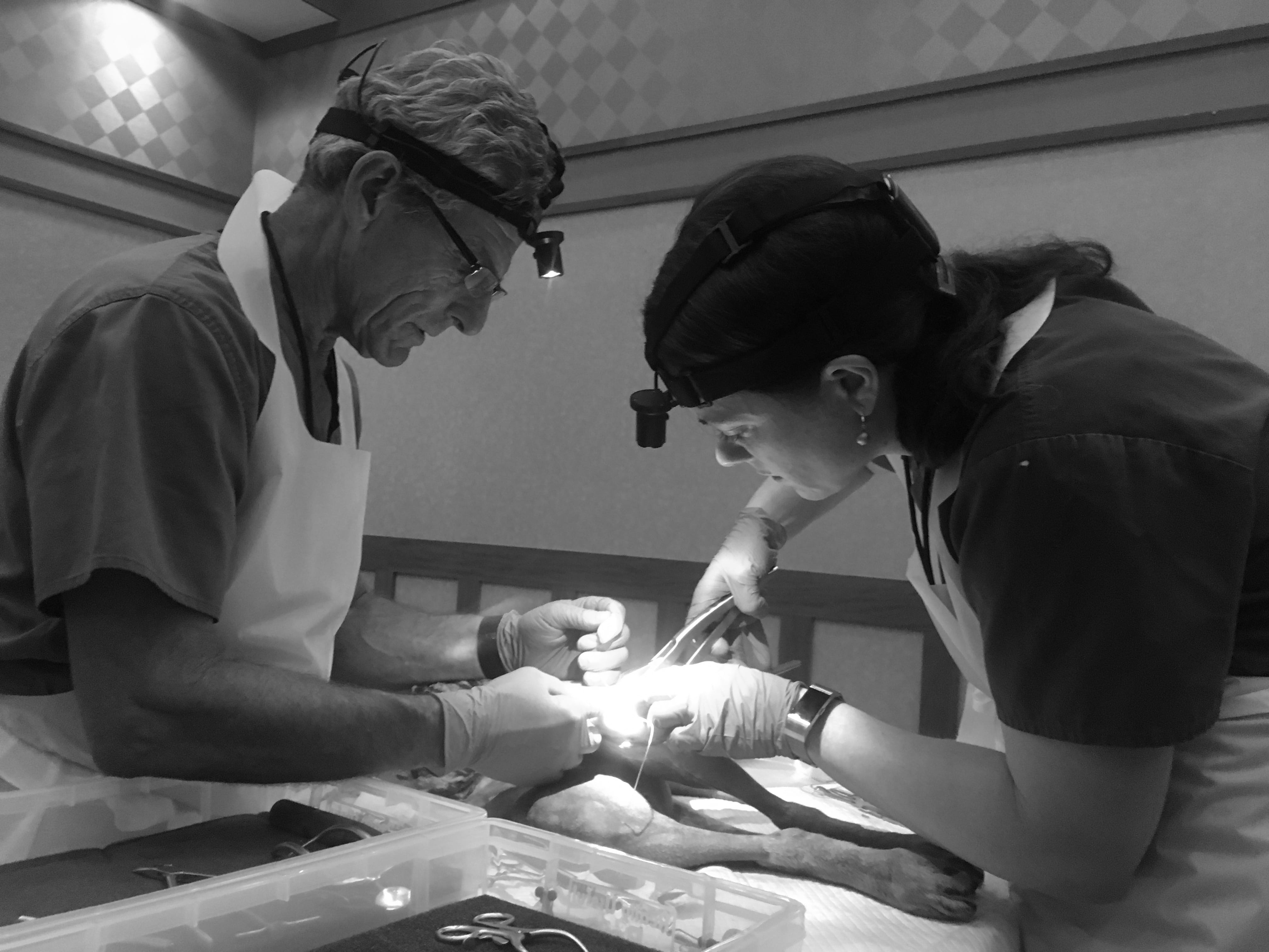 Image of two people working on a wet lab procedure