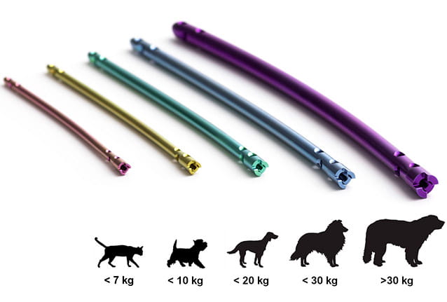 Surg'X interlocking nail system